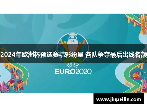 2024年欧洲杯预选赛精彩纷呈 各队争夺最后出线名额