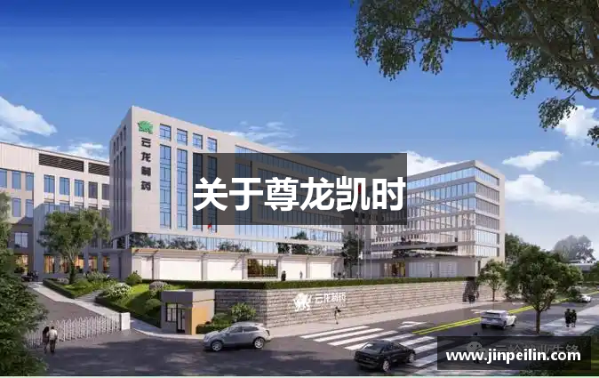 关于尊龙凯时